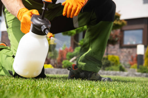 Best Mosquito Control Services  in Dequincy, LA