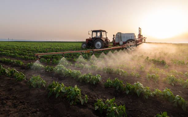 Best Pest Prevention Services  in Dequincy, LA