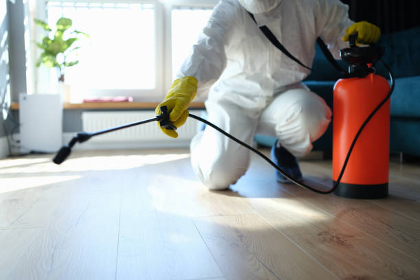 Best Flea Control Services  in Dequincy, LA