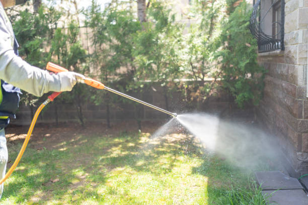 Best Cockroach Control Services  in Dequincy, LA