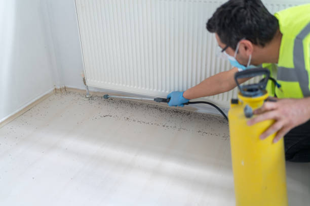 Reliable Dequincy, LA Pest Control Solutions